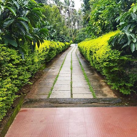 Wayanad Green Park Resort Ambalavayal Habitación foto