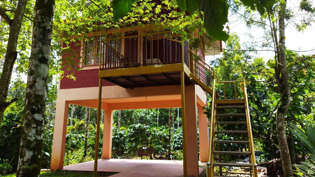 Wayanad Green Park Resort Ambalavayal Exterior foto