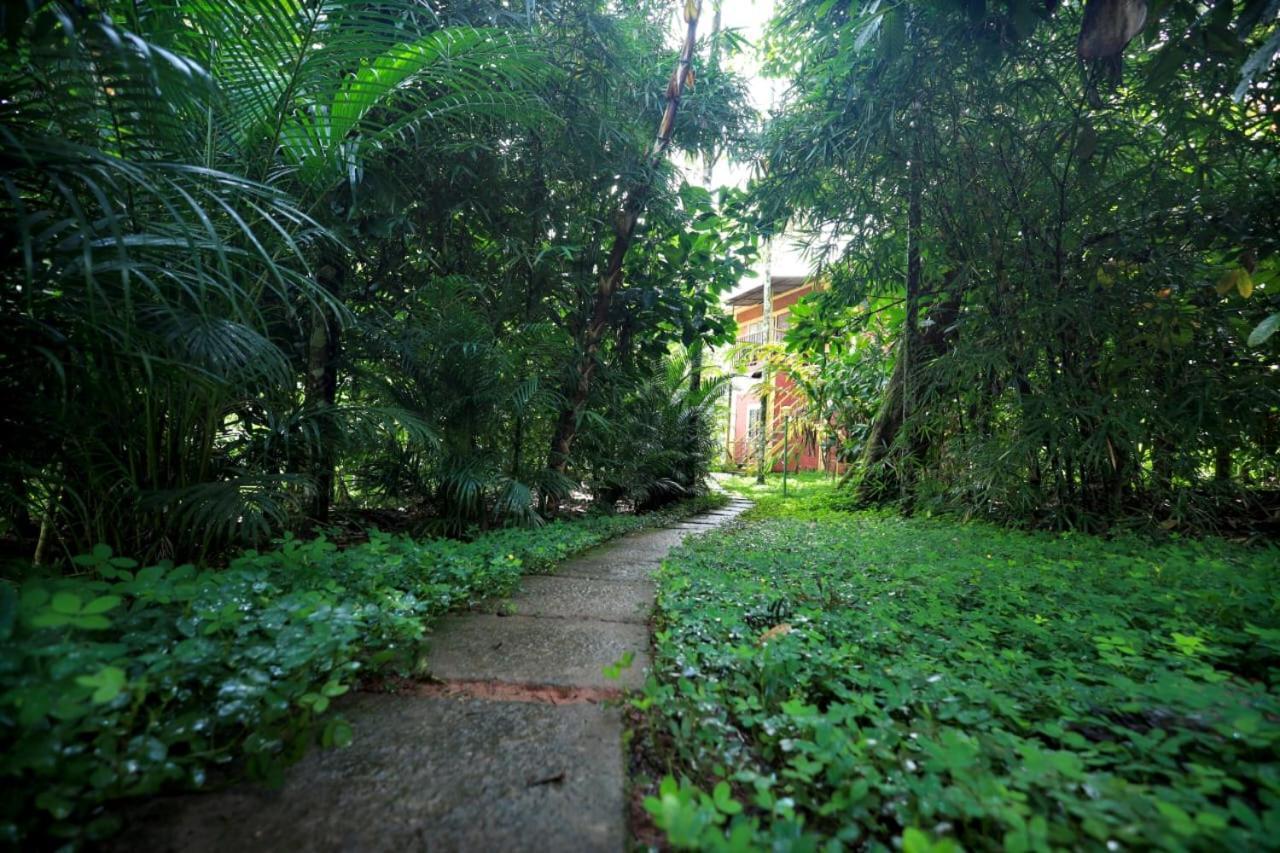 Wayanad Green Park Resort Ambalavayal Exterior foto