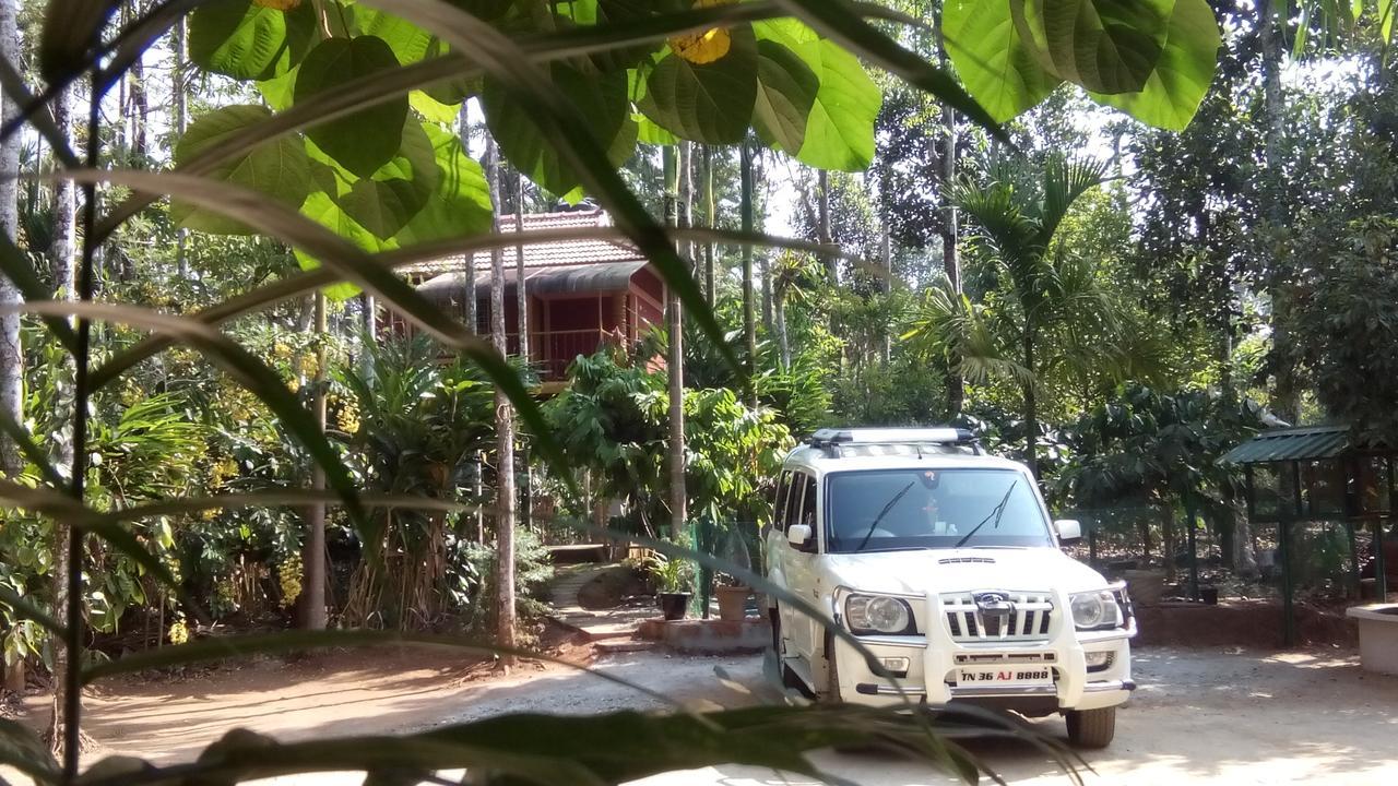 Wayanad Green Park Resort Ambalavayal Exterior foto