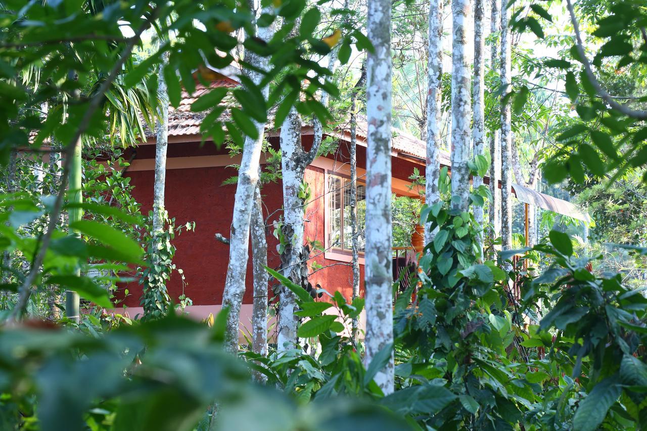 Wayanad Green Park Resort Ambalavayal Exterior foto