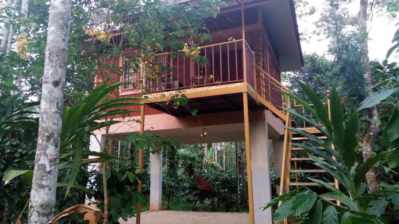Wayanad Green Park Resort Ambalavayal Exterior foto